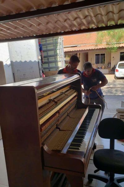 Içamento de móveis em Goiânia 2 Go Faster Mudanças (23)